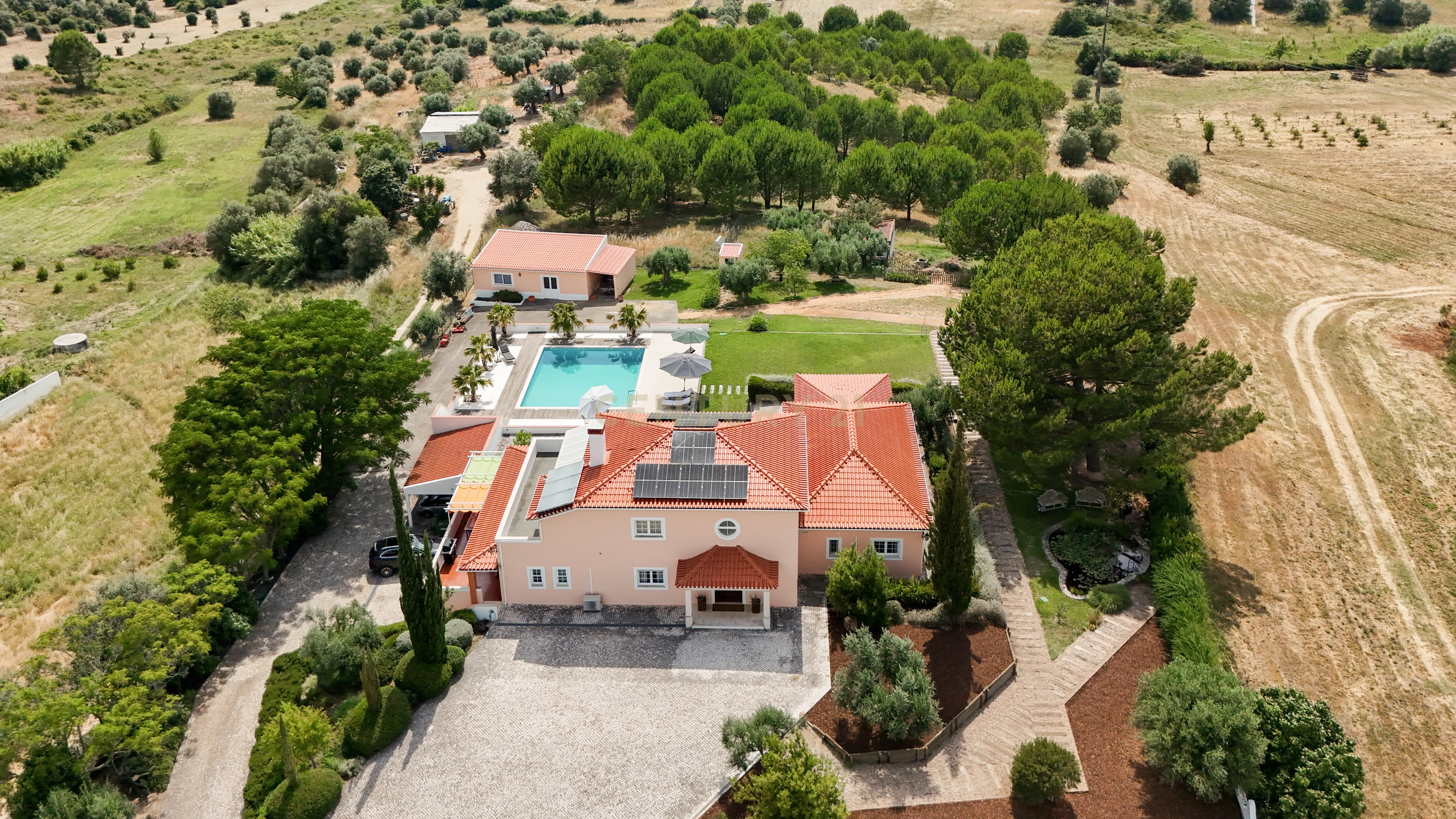 Fotografia 5 de Propriedade Única com Piscina, Lago e Produção de Azeite