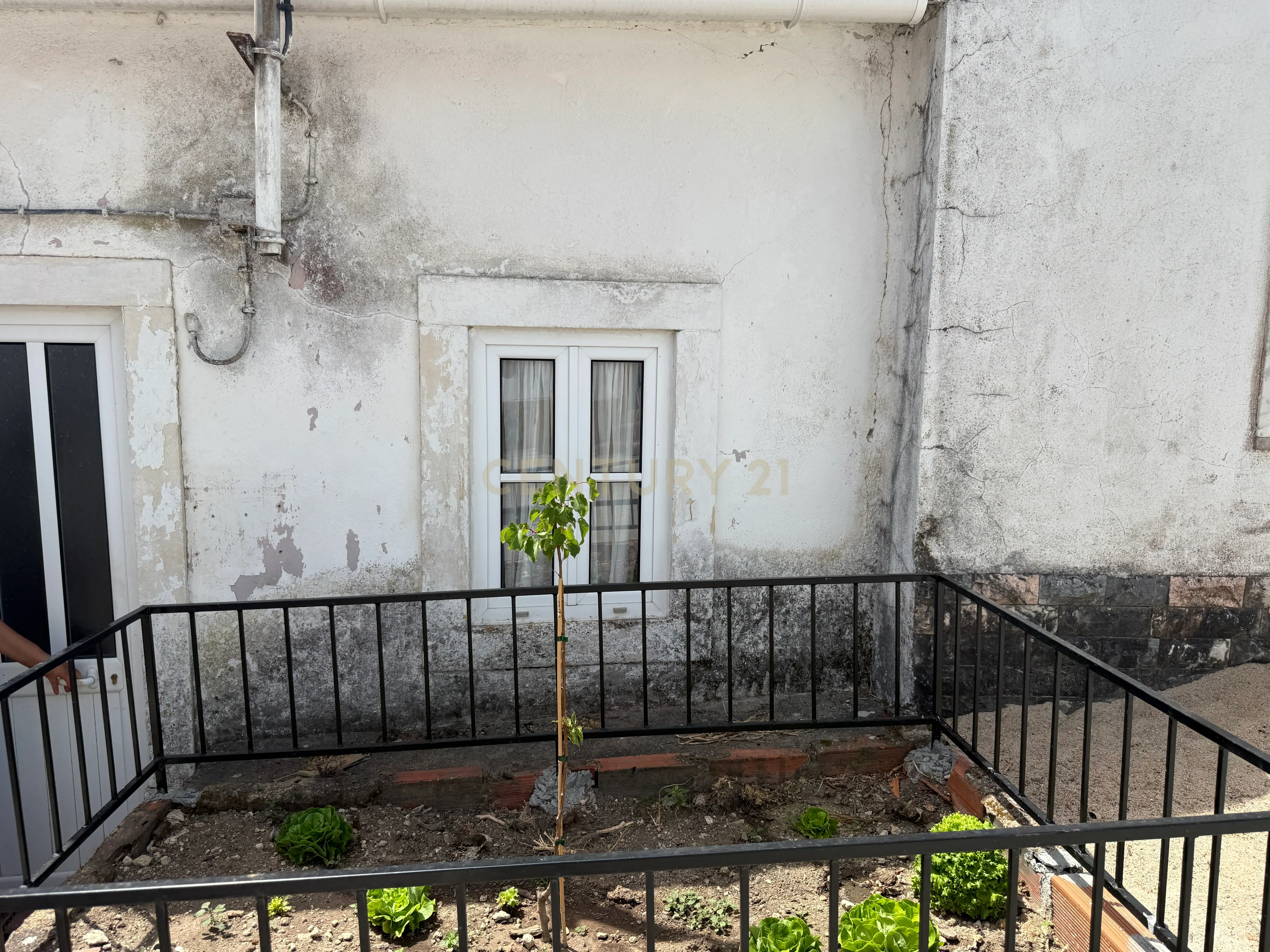 Moradia T1 à venda em Assentiz, Torres Novas — foto 6
