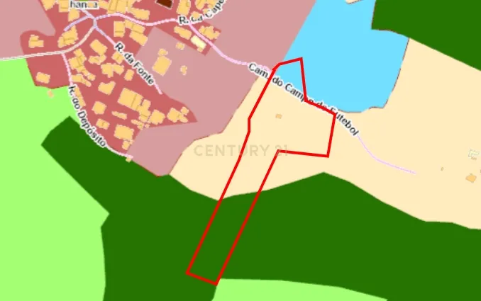 Terreno com Limoeiros | Próximo da Aldeia | Chanca - Mafra - Image 10