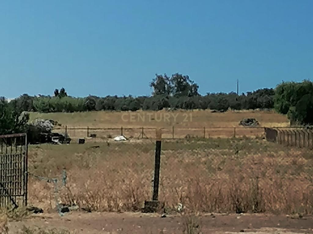 Beja, 2040,150 m2 de Armazéns Diversos instalados em 7190,690 m2 de terrenos Urbanos e ainda 2,5 hectares de terrenos Rústicos - Image 22