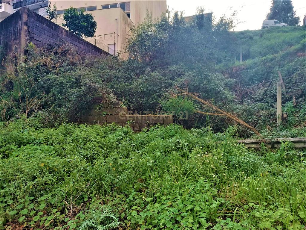 Lote para construção de moradia com 3 frentes perto do Freixo em Valbom, Gondomar, Porto - Image 13