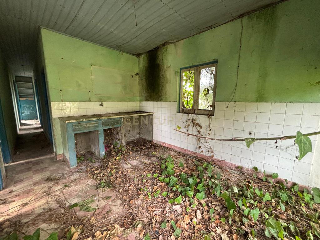 Moradia em ruína para recuperação em Pombal, Leiria - Image 8