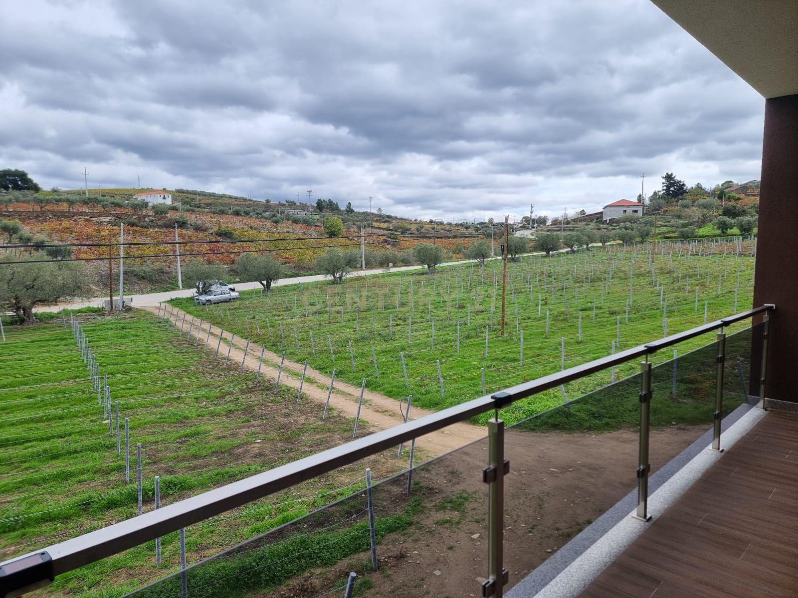 🏡Quinta com Moradia T3 e Vinha no Coração do Alto Douro Vinhateiro – Património Mundial da UNESCO - Image 15