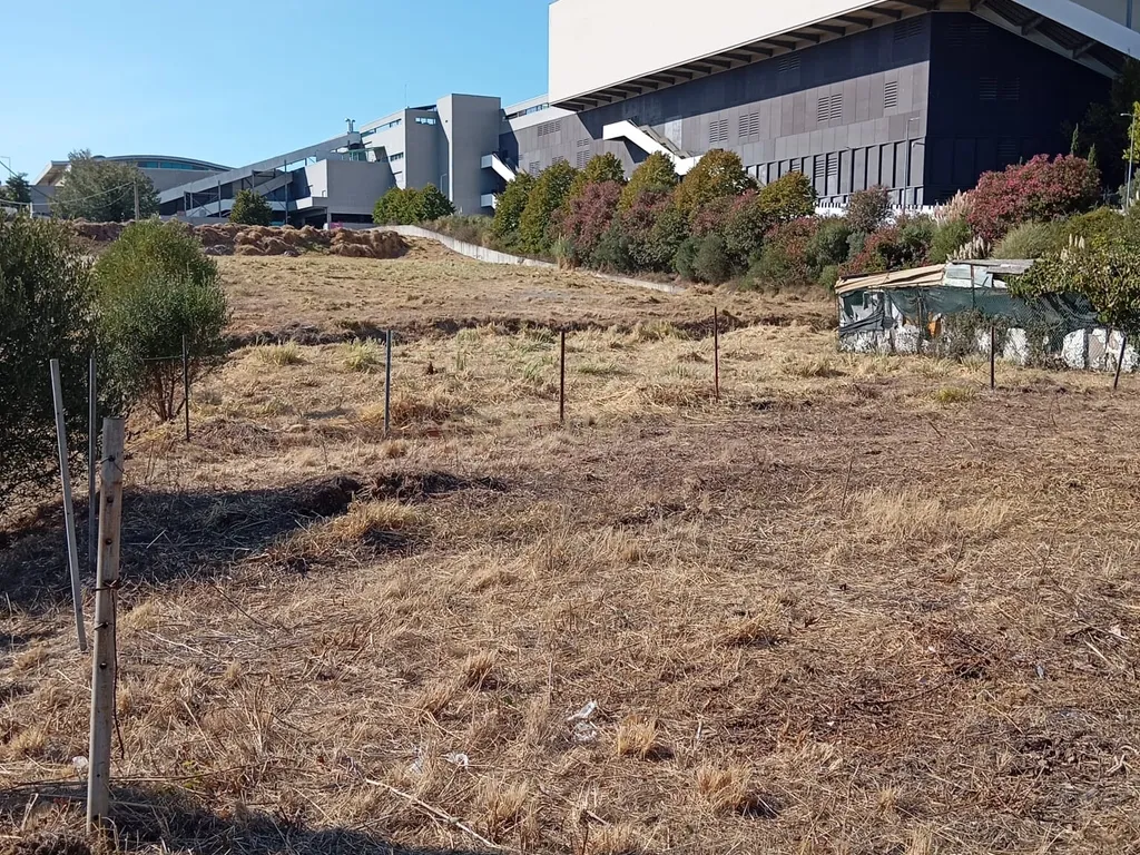 Oportunidade de Investimento em Rio de Mouro – Cabeça Gorda / Anafais - Image 3