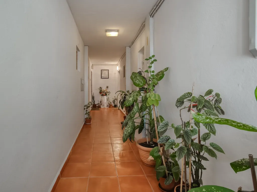 Apartamento T3 em Marvila, Lisboa - Oportunidade Única! - Image 4