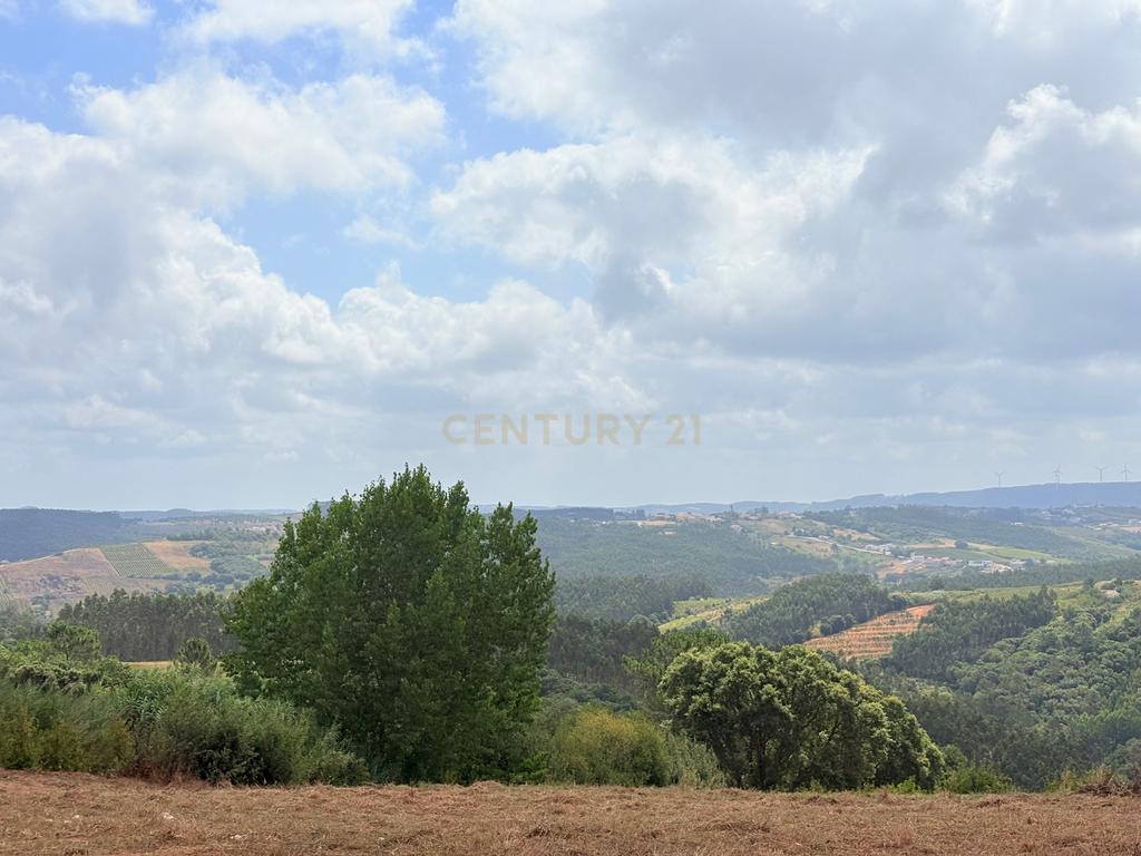 Moradia T4 de térrea à venda em A dos Negros - Óbidos - Image 54