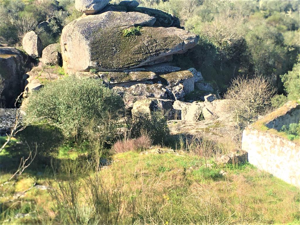 Quinta Típica Alentejana, Licença de Turismo Rural, Arrendamento, Arraiolos - Image 48
