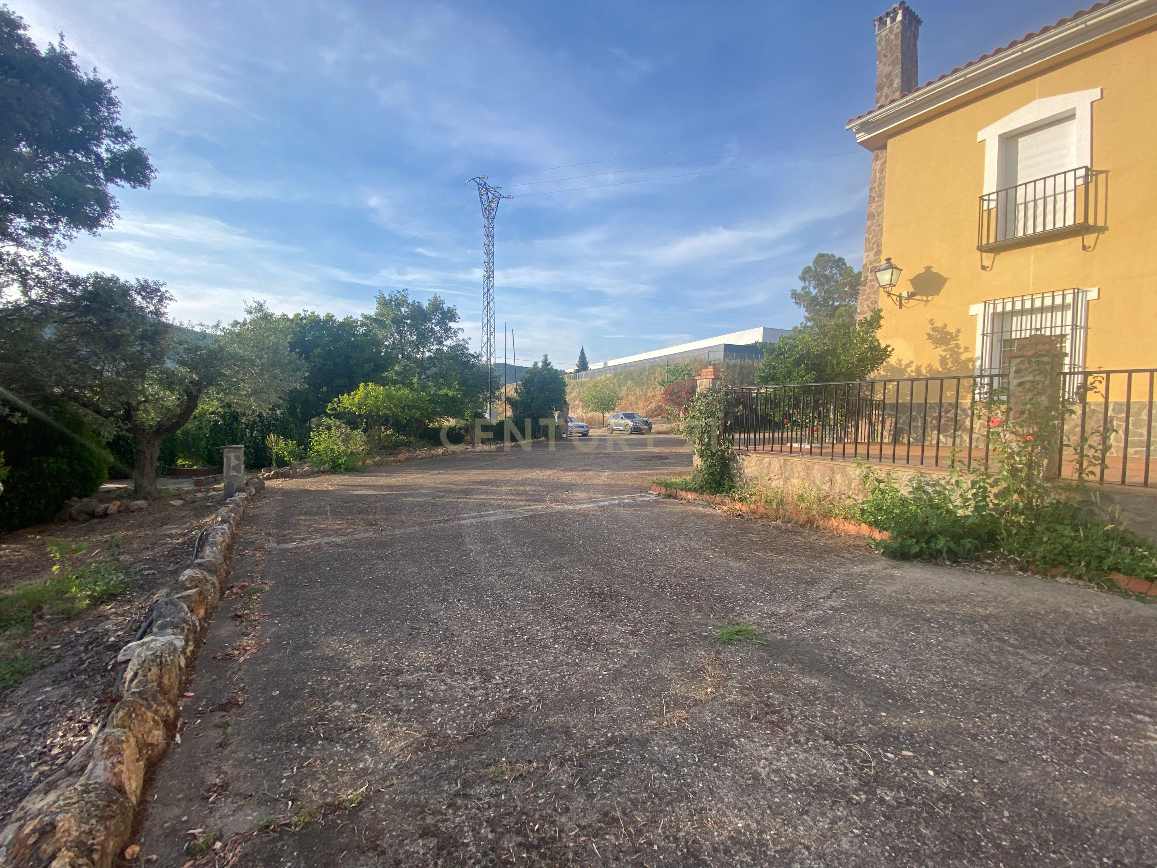 undefined - Image 16