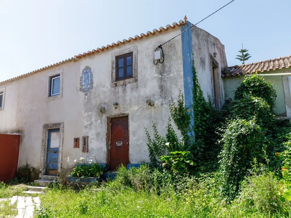 À procura de espaço para investir, fugir aos fins de semana ou começar um projecto a dois? - Image 29
