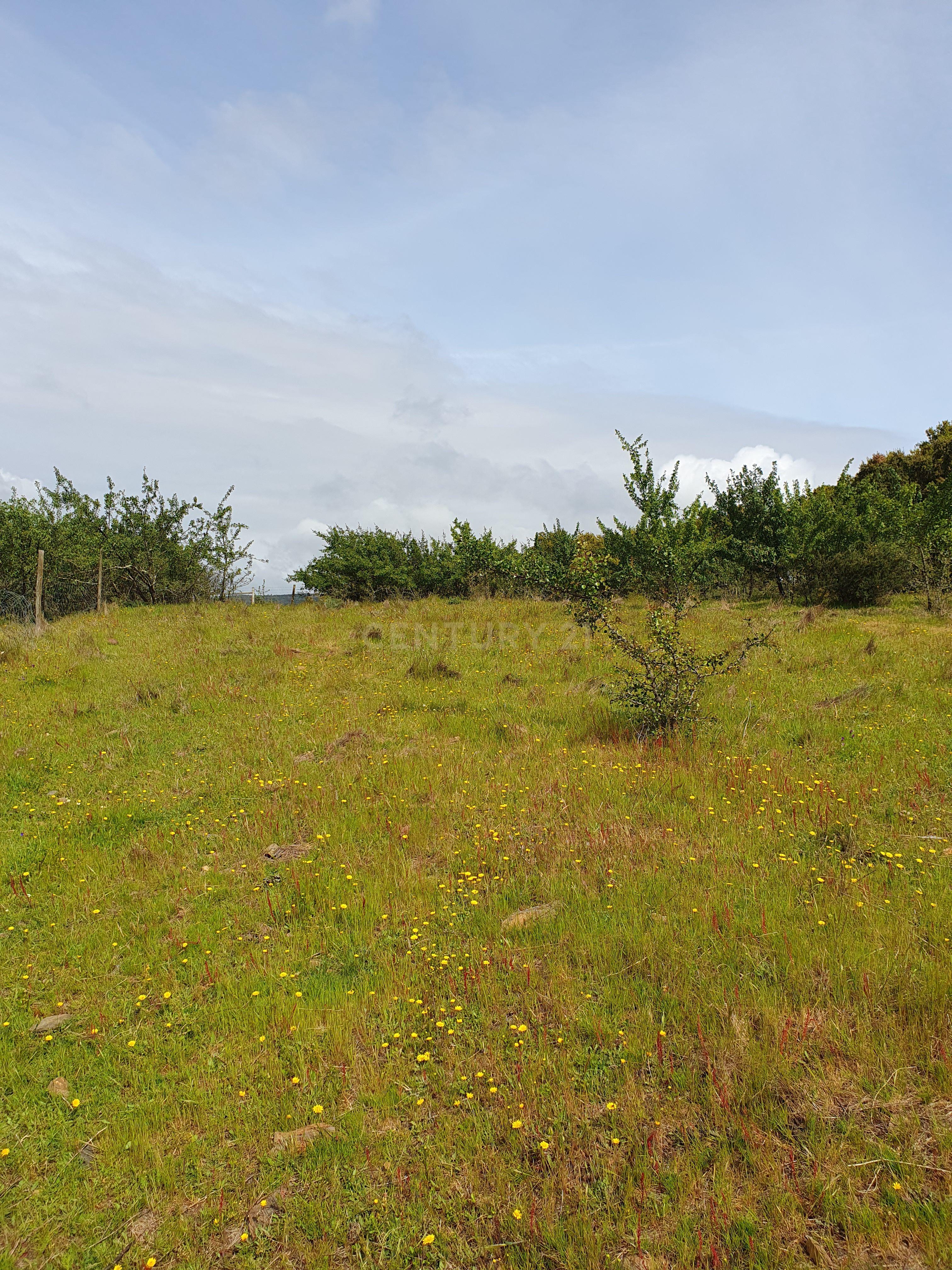 Fotografia 10 de Terreno Urbano na Serra D`Ossa Redondo