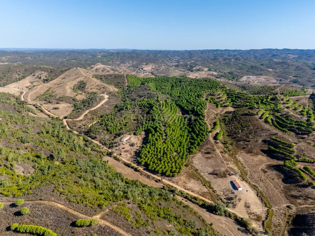 Monte com duas moradias e cerca de 20 hectares em São Marcos da Serra - Image 4