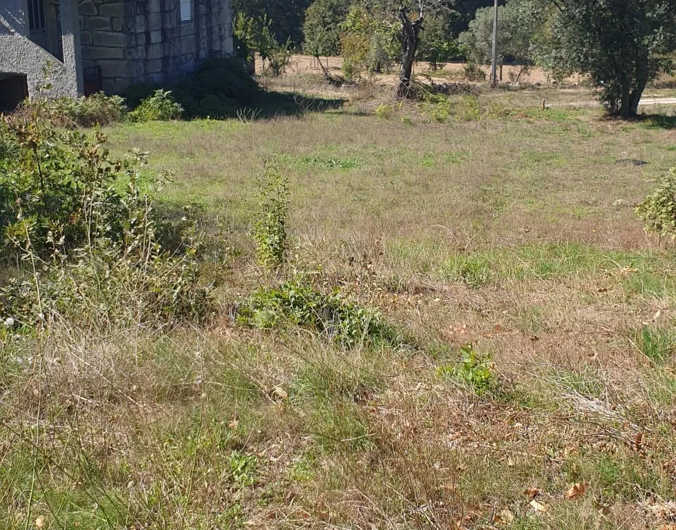 Moradia T3 +2 + Terreno Rústico de 3.700m2 em Fornos de Algodres - Image 6