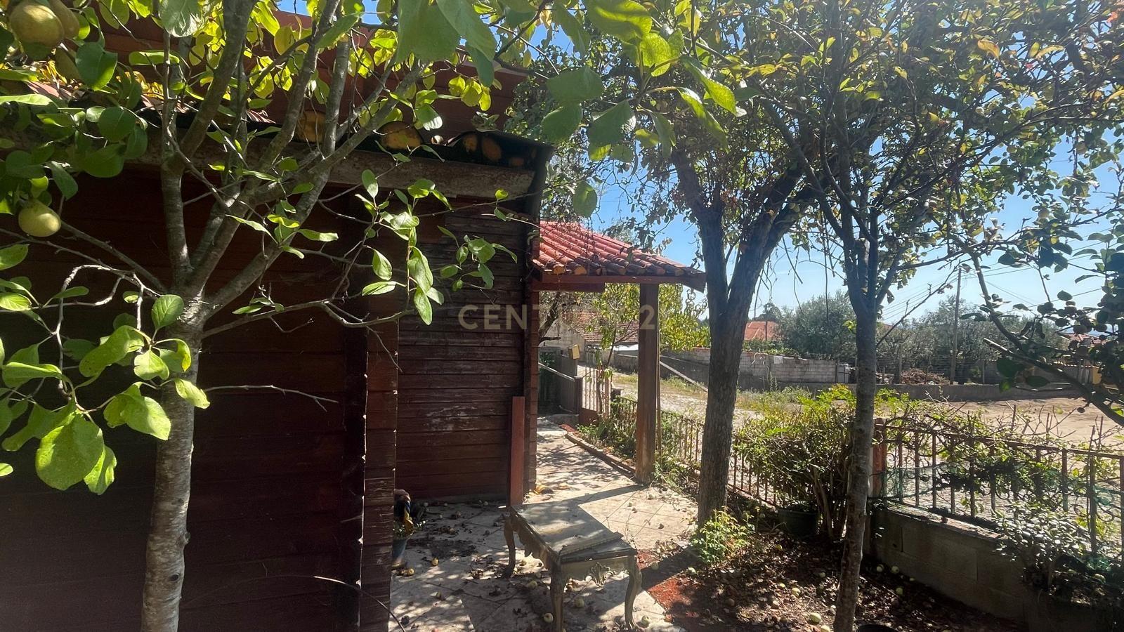 Fotografia 9 de Terreno com casa de madeira proximo do Sátão