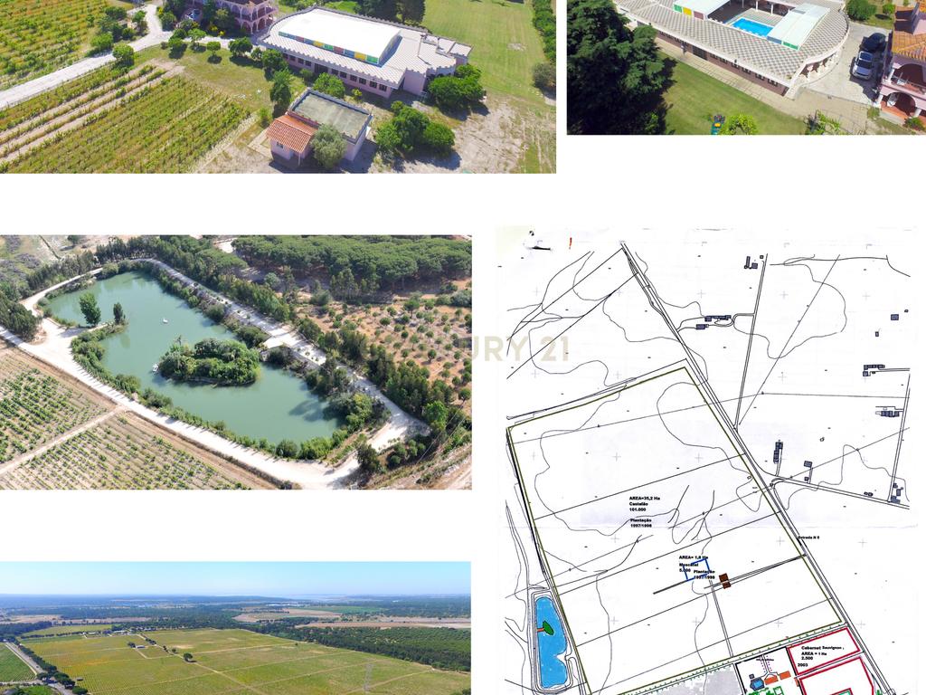 Herdade Dos Mascarenhas com 102 hectares em Palmela - Image 44