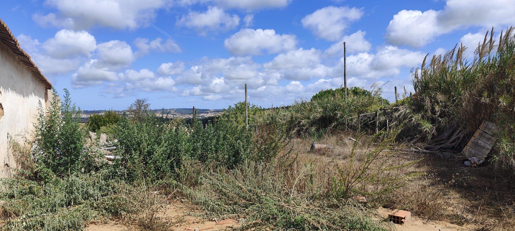 Fotografia 10 de TERRENO PARA CONSTRUÇÃO COM 1.000 M² | CABEÇA GORDA | ENTRE TORRES VEDRAS E A LOURINHÃ