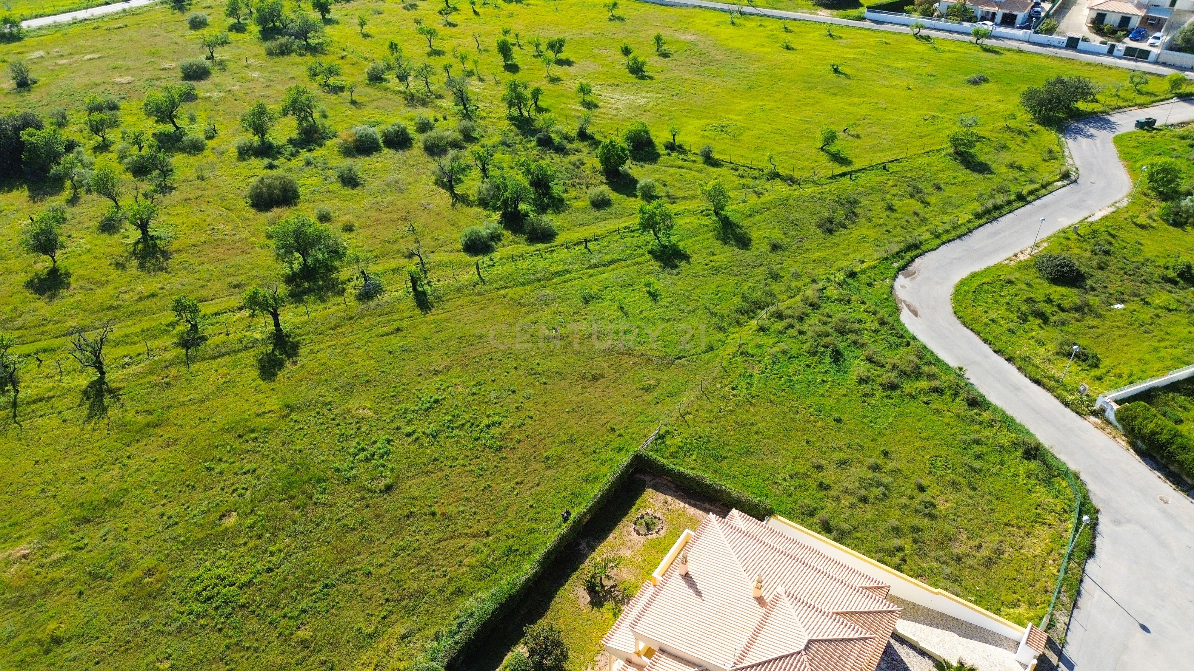 Fotografia 10 de Lote urbano com projeto para moradia contemporânea com piscina