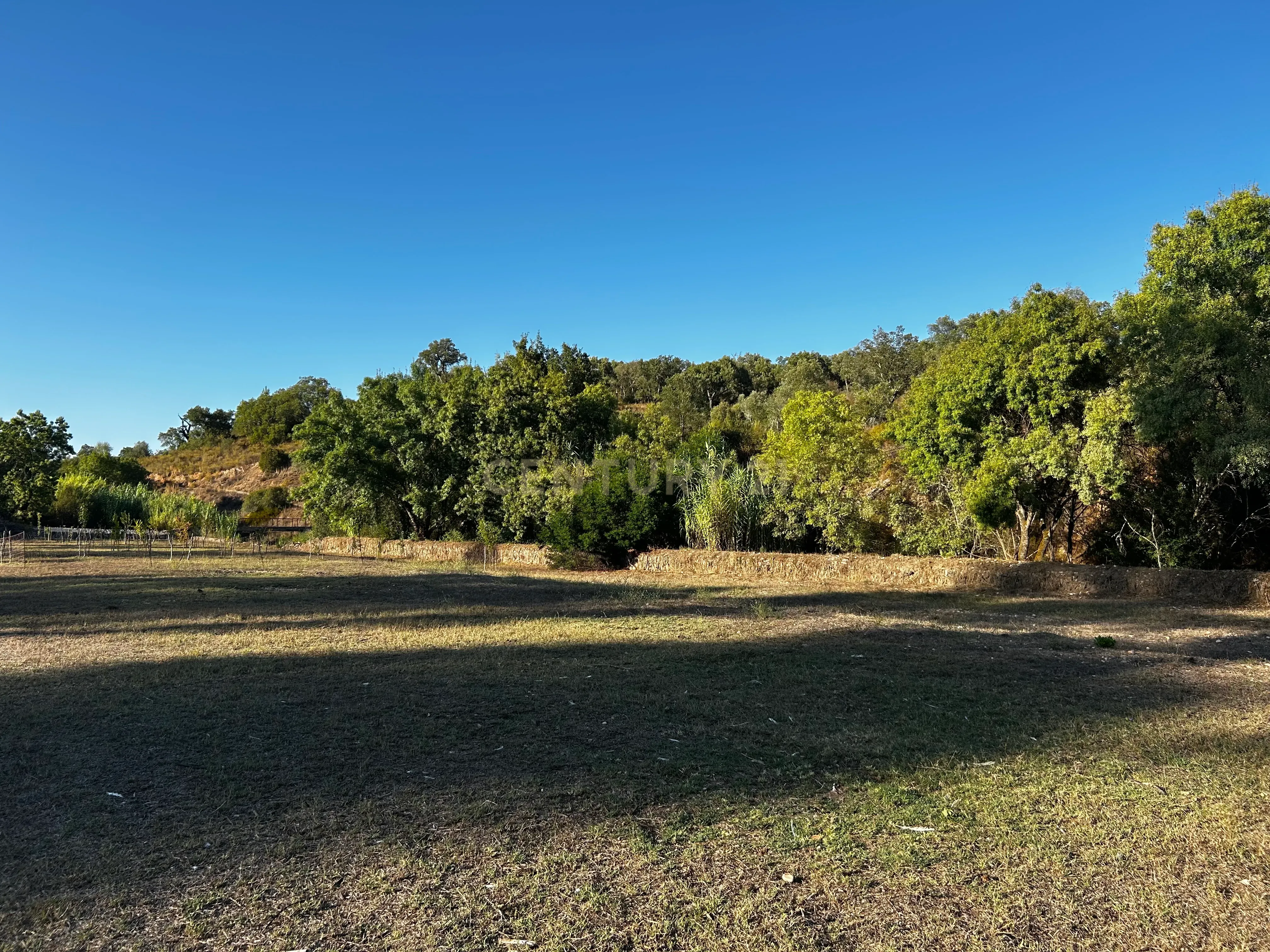 Fotografia 8 de Quinta c/2,5 hectares , casa pré fabricada e ruína para reconstrução.