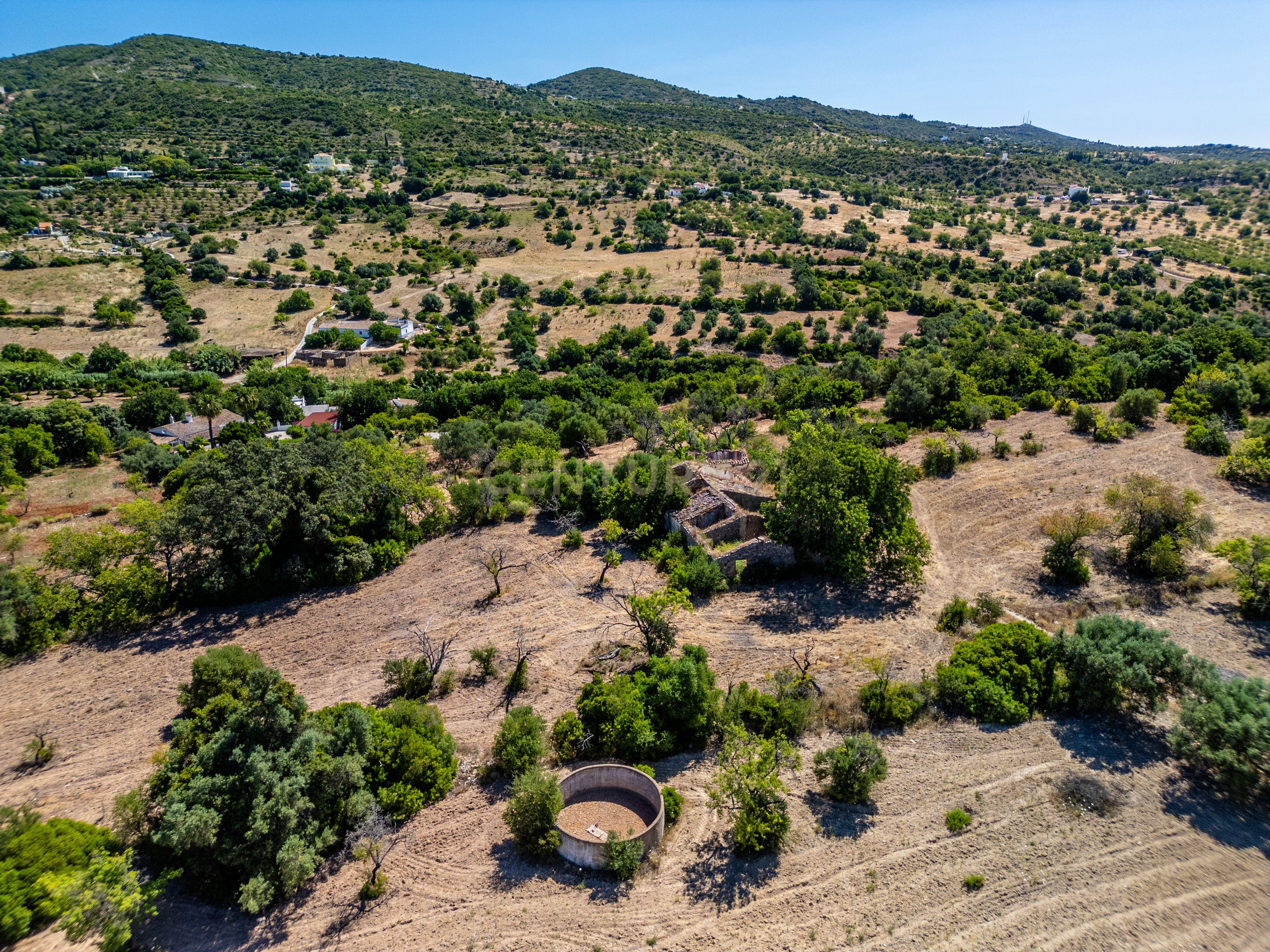 Fotografia 9 de Terreno com 16.700 m² + Ruína | Vista Mar e Serra | Conceição e Estoi – Faro