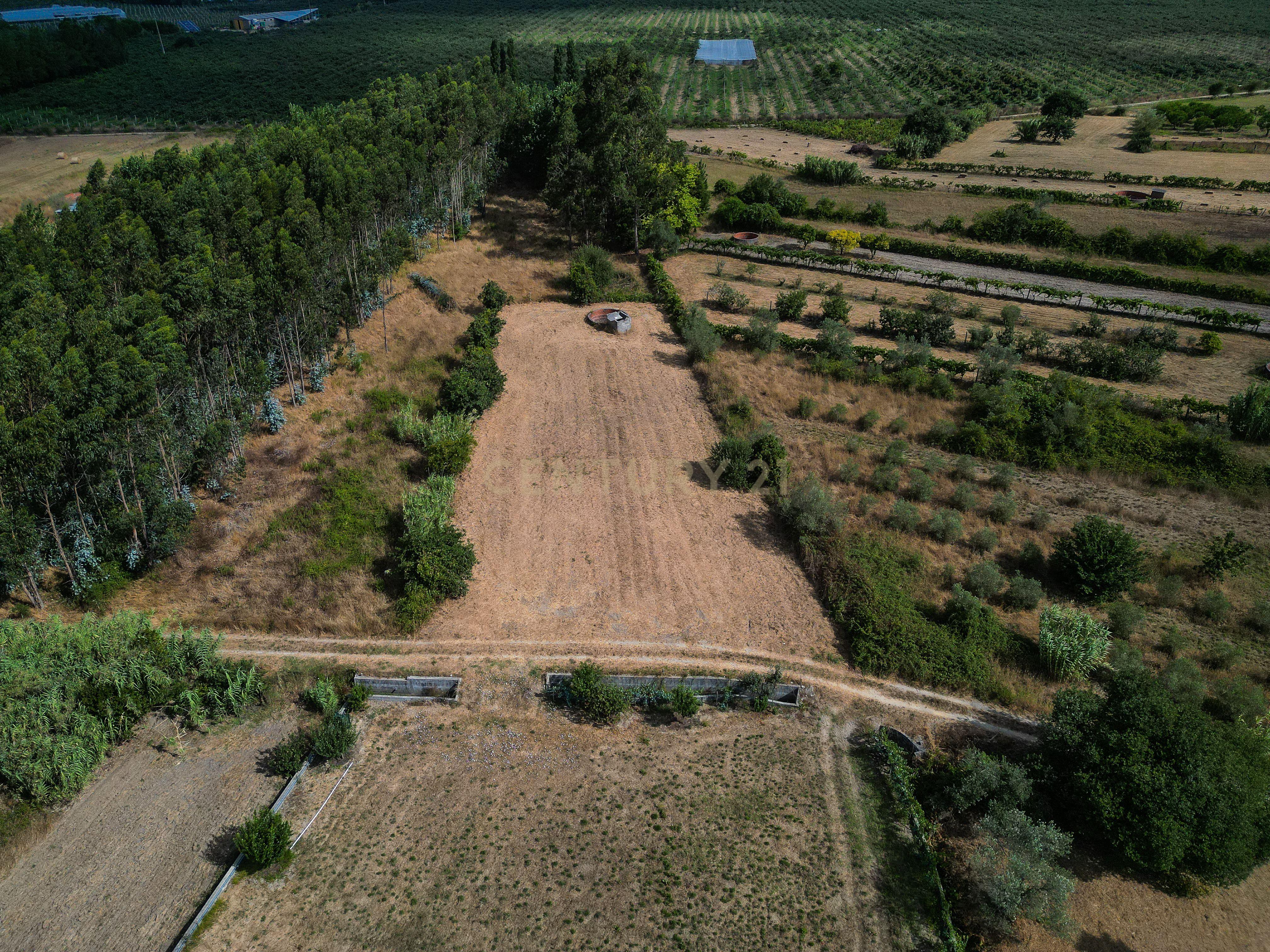 Fotografia 8 de Terreno de cultivo com poço em Cabeça Alta – Seixo de Gatões, Montemor-o-Velho