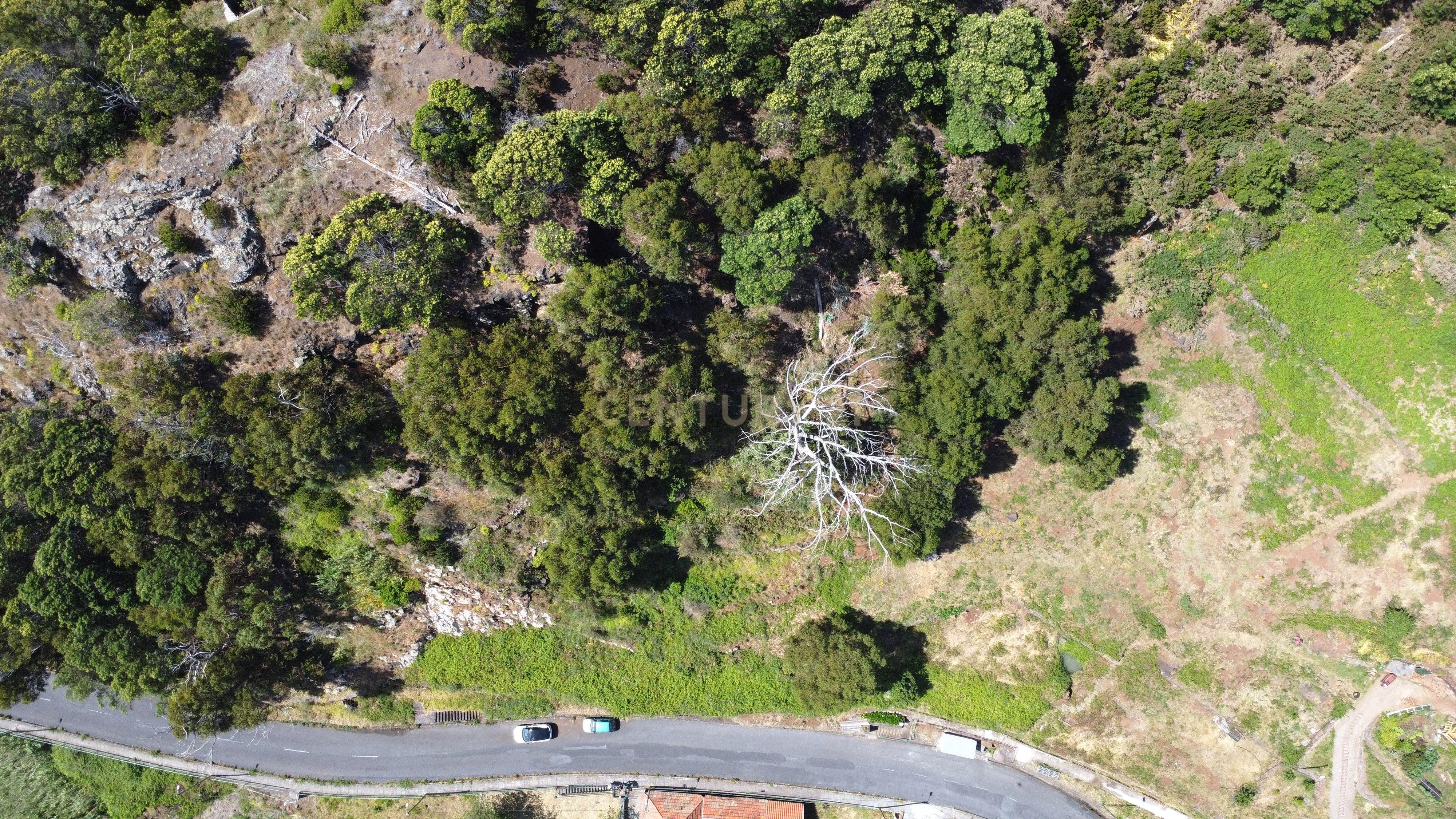 Fotografia 6 de Terreno Rústico em Santa Cruz, Ilha da Madeira