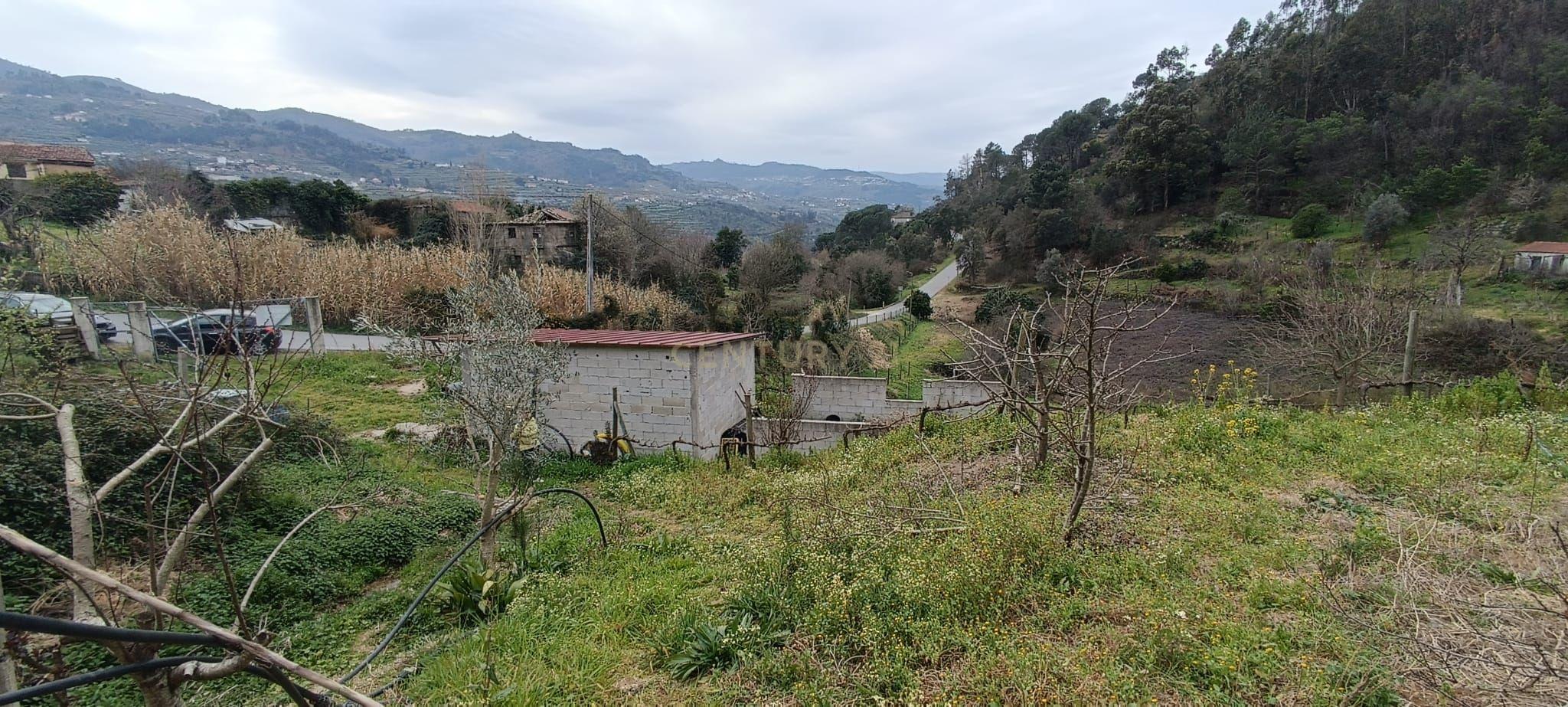 Terreno agrícola com àgua e viabilidade de construção em Granja, S. Tomé de Covelas, Baião, perto do do rio Douro, Porto - Image 10