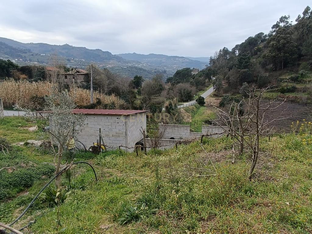Casa com terreno de construção e agrícola perto do rio Douro em Granja, S. Tomé de Covelas, Baião, Porto - Image 38