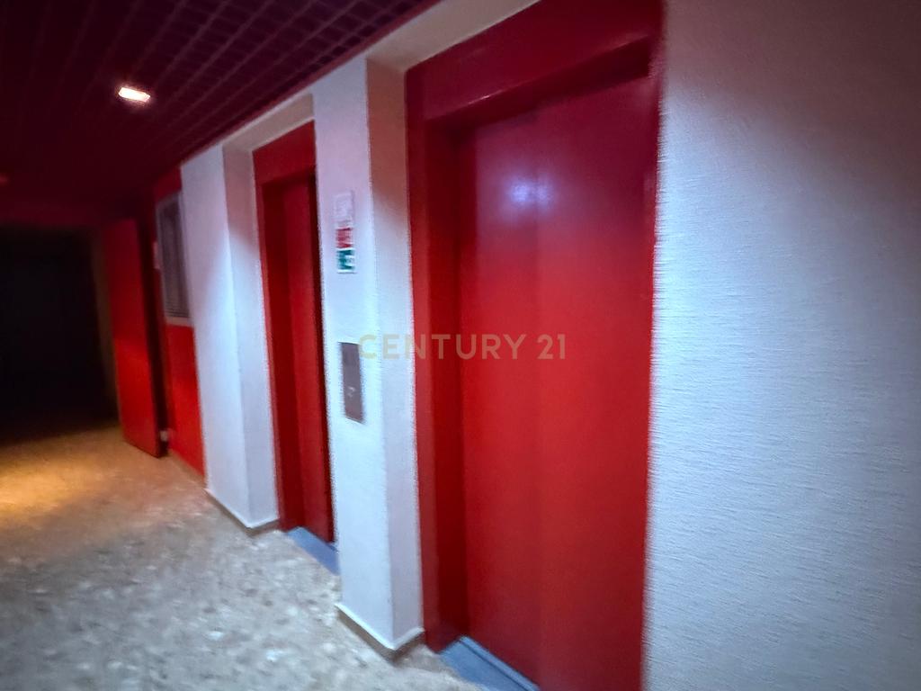 T1 Muito Bem Estimado nas Olaias – Assinatura do Arquiteto Tomás Taveira - Image 13