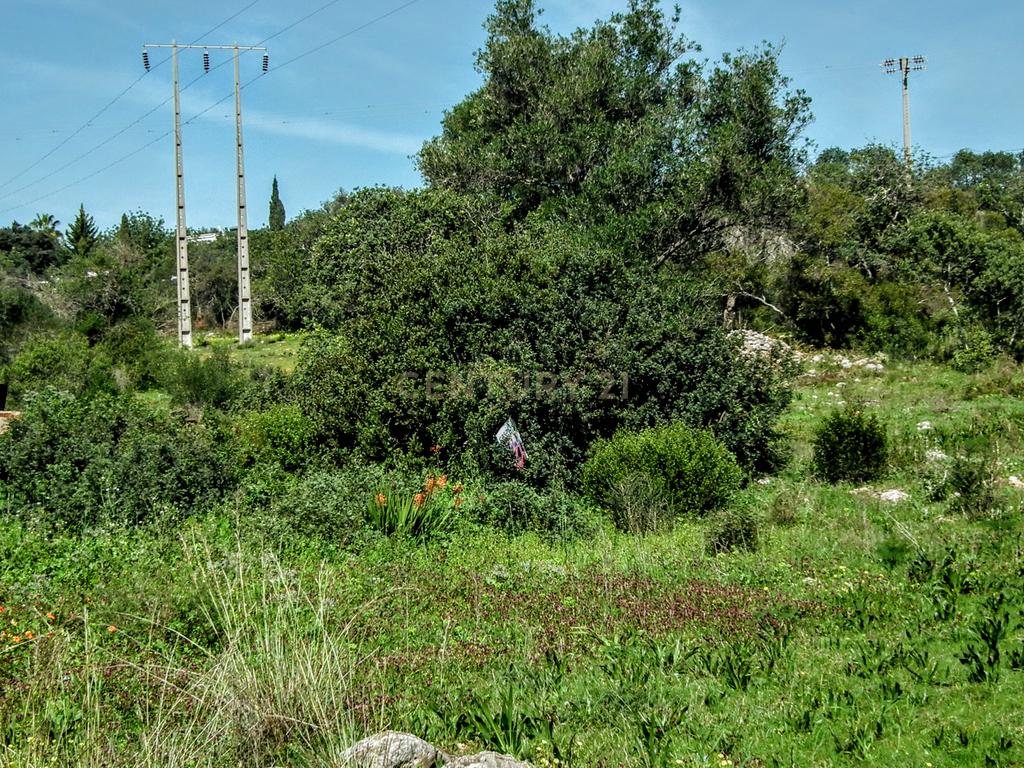 Terreno Rústico em Faro com Vista Panorâmica e Acesso Fácil - Image 13