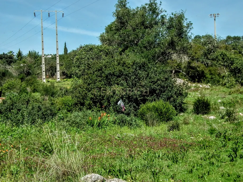 Terreno Rústico em Faro com Vista Panorâmica e Acesso Fácil - Image 13