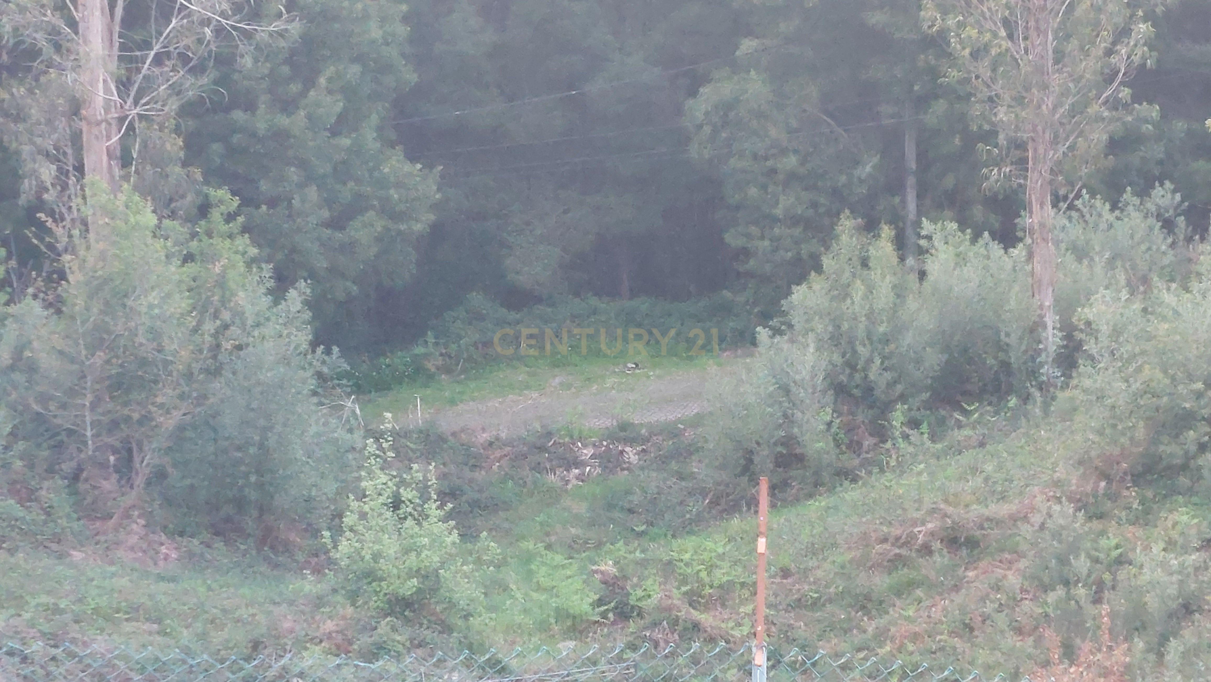 Terreno Rustico em Crestuma, Vila Nova de Gaia - Image 12