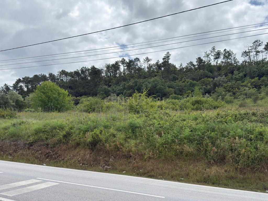 Terreno à venda em Alcobaça – Oportunidade única! - Image 8