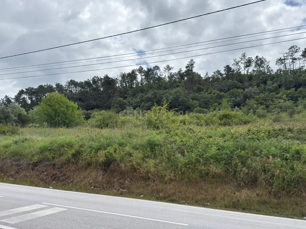 Terreno à venda em Alcobaça – Oportunidade única! - Image 8