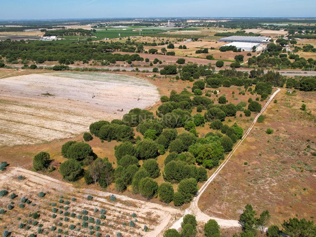 Terreno Rústico c/ 22.500m2 - Sto Isidro de Pegões - Montijo - Image 4