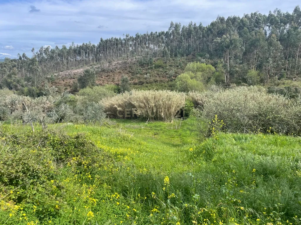 Moradia em Carvalhal, Abrantes - Image 7