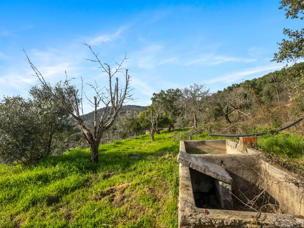 Moradia com Terreno em Portalegre - Image 21