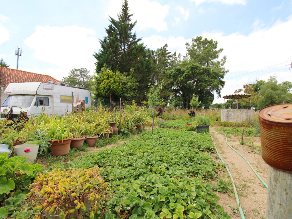 Quinta em Palmela - Image 30