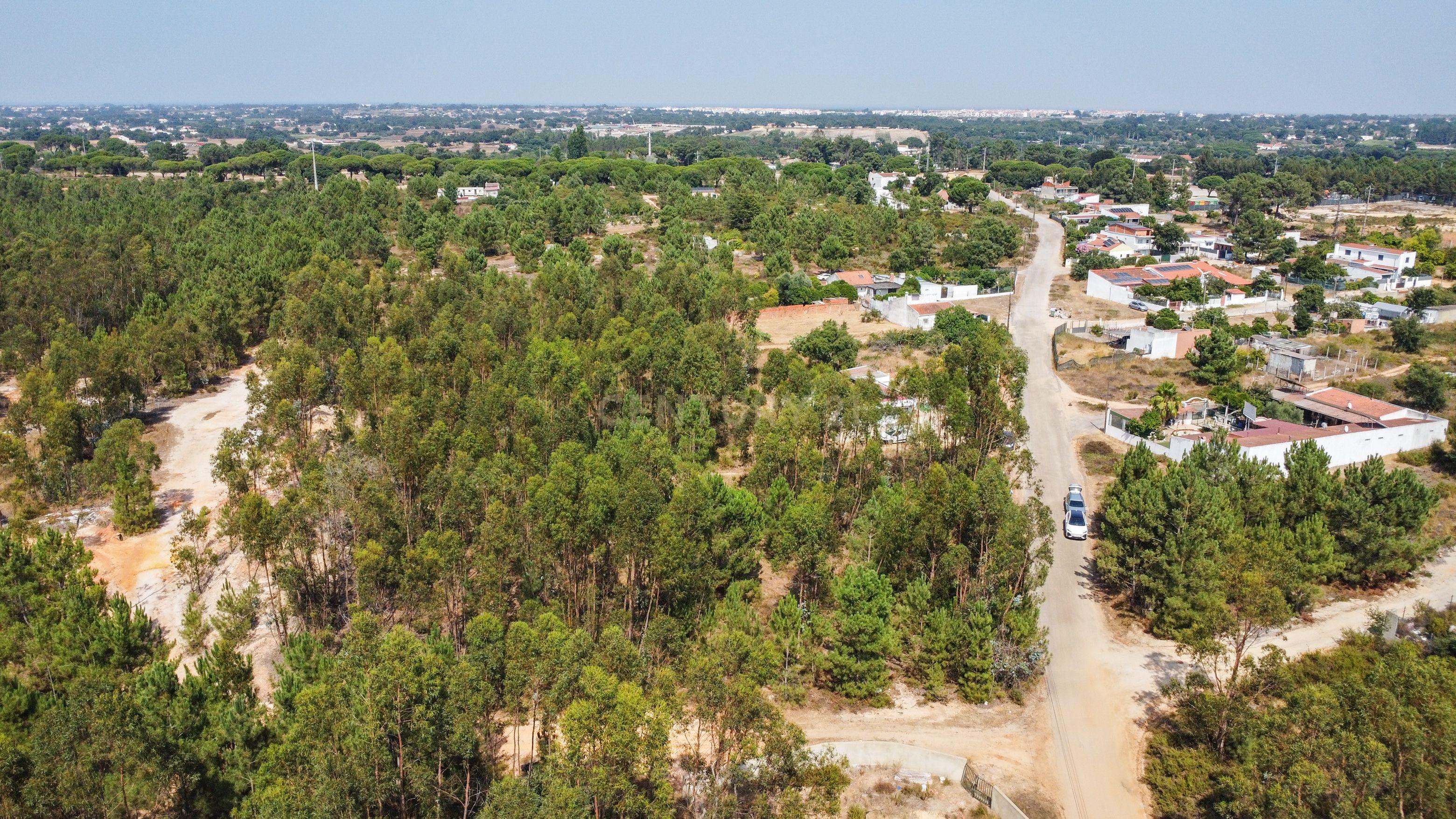 Fotografia 5 de Lote de Terreno com Elevado Potencial de Construção – Herdade do Pinhal das Formas, Quinta do Anjo