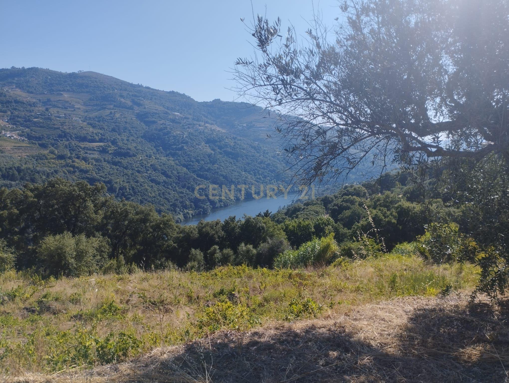 Moradia T2 à venda em Frende, Baião — foto 11