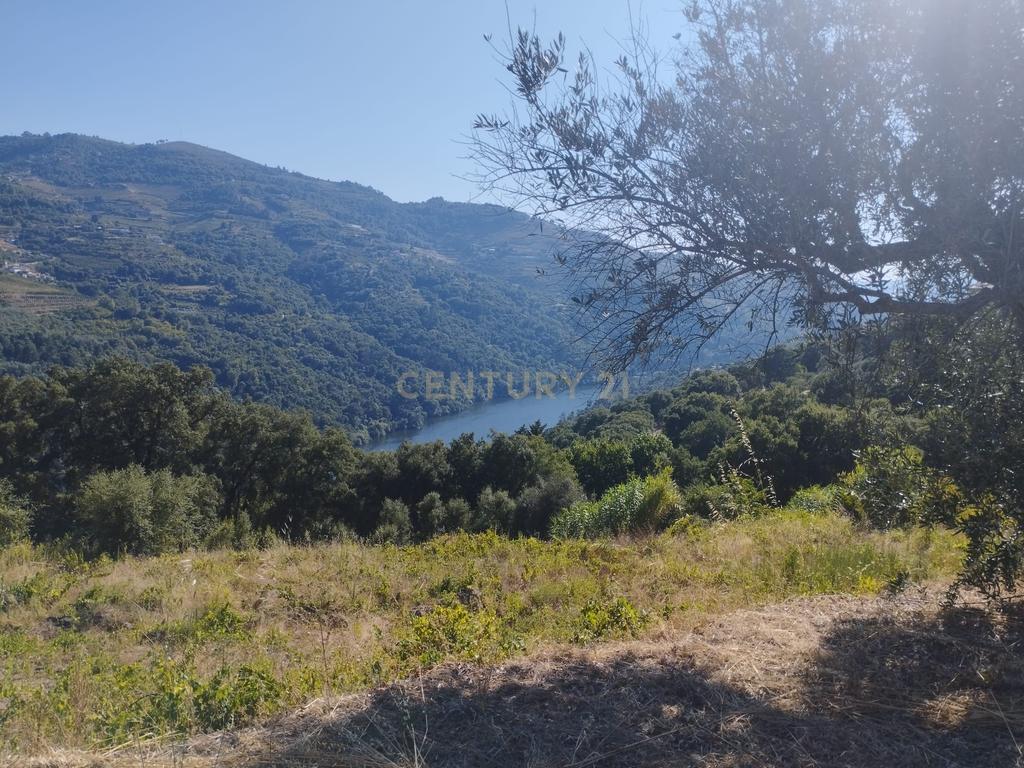 Moradia em ruina repleta de belas histórias, para reconstruir, no coração do Douro em Frende, Baião - Image 11