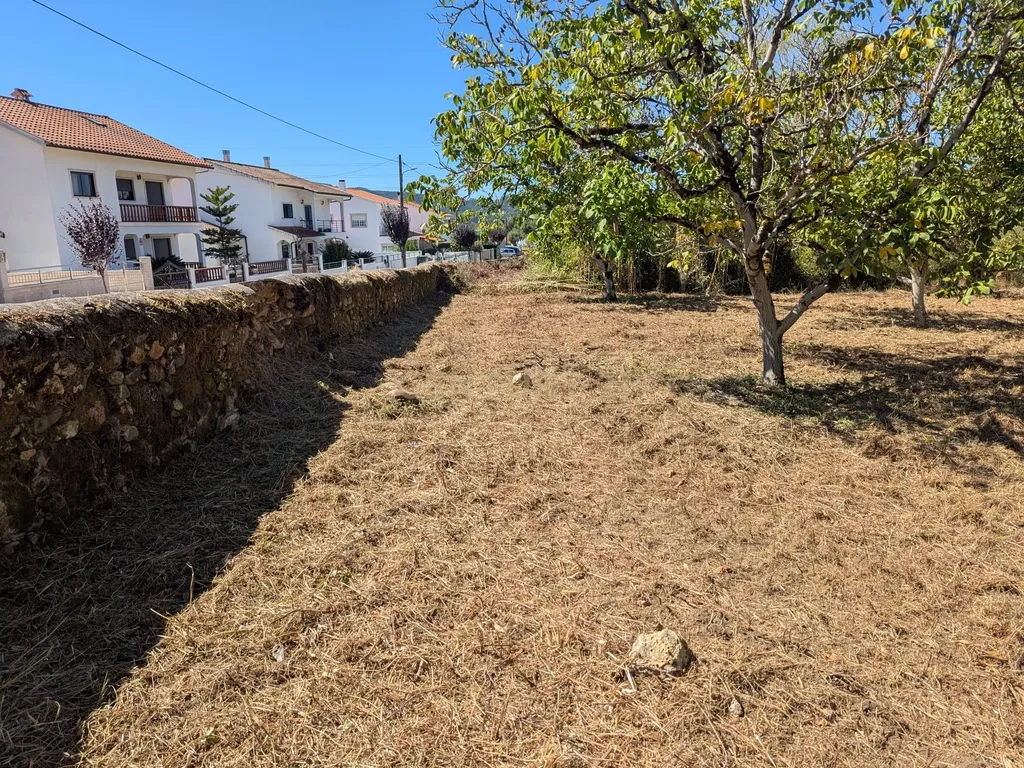 Terreno Viabilidade Construção em Espinhal, Penela – Excelente Oportunidade de Investimento - Image 6
