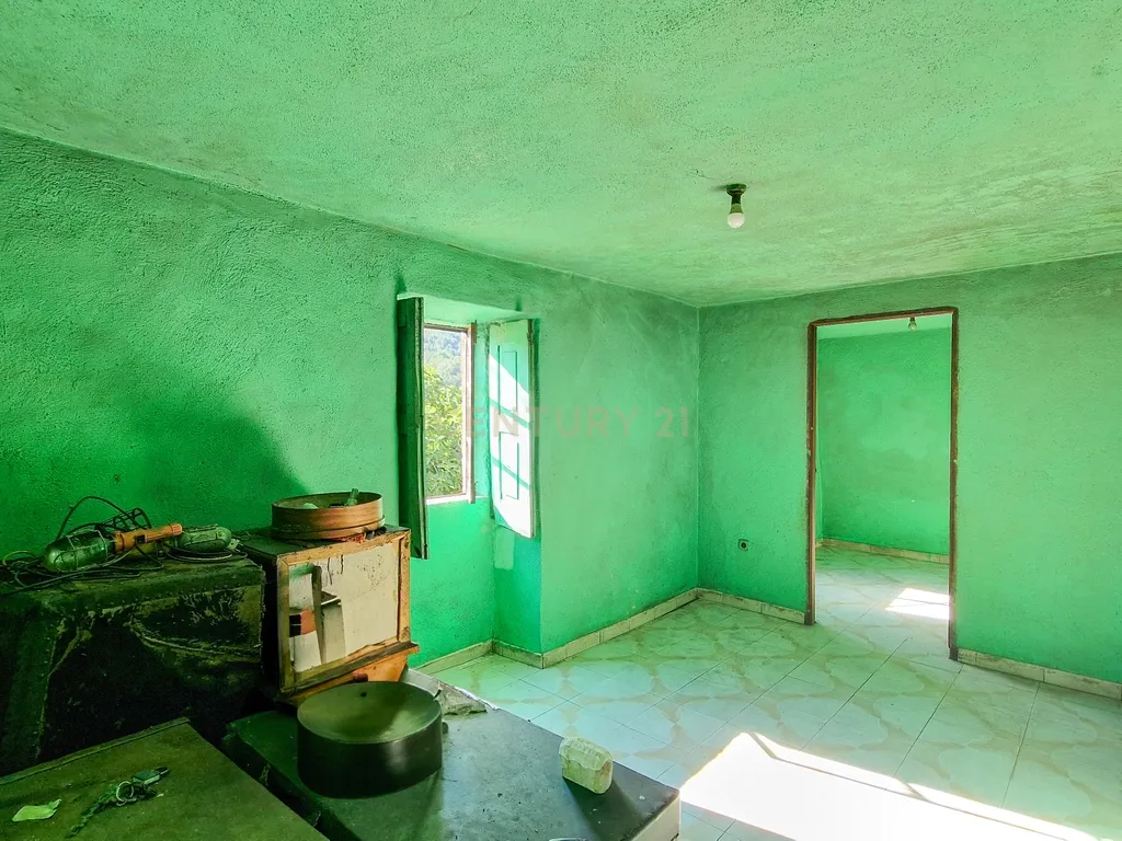 Quinta com Casa para Recuperação em Ferreira de Aves, Viseu - Image 8