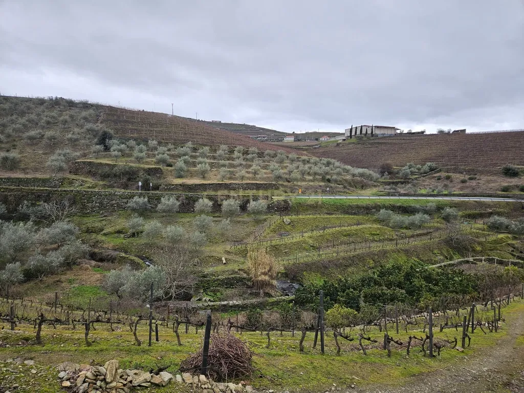 Refúgio Único no Coração do Douro - Image 1