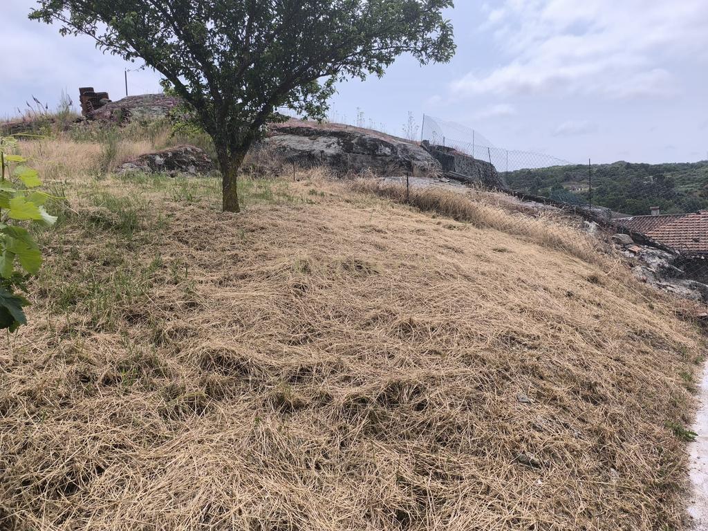 Casas prontas a habitar com terreno, arvores de fruto, forno e água própria. - Image 44
