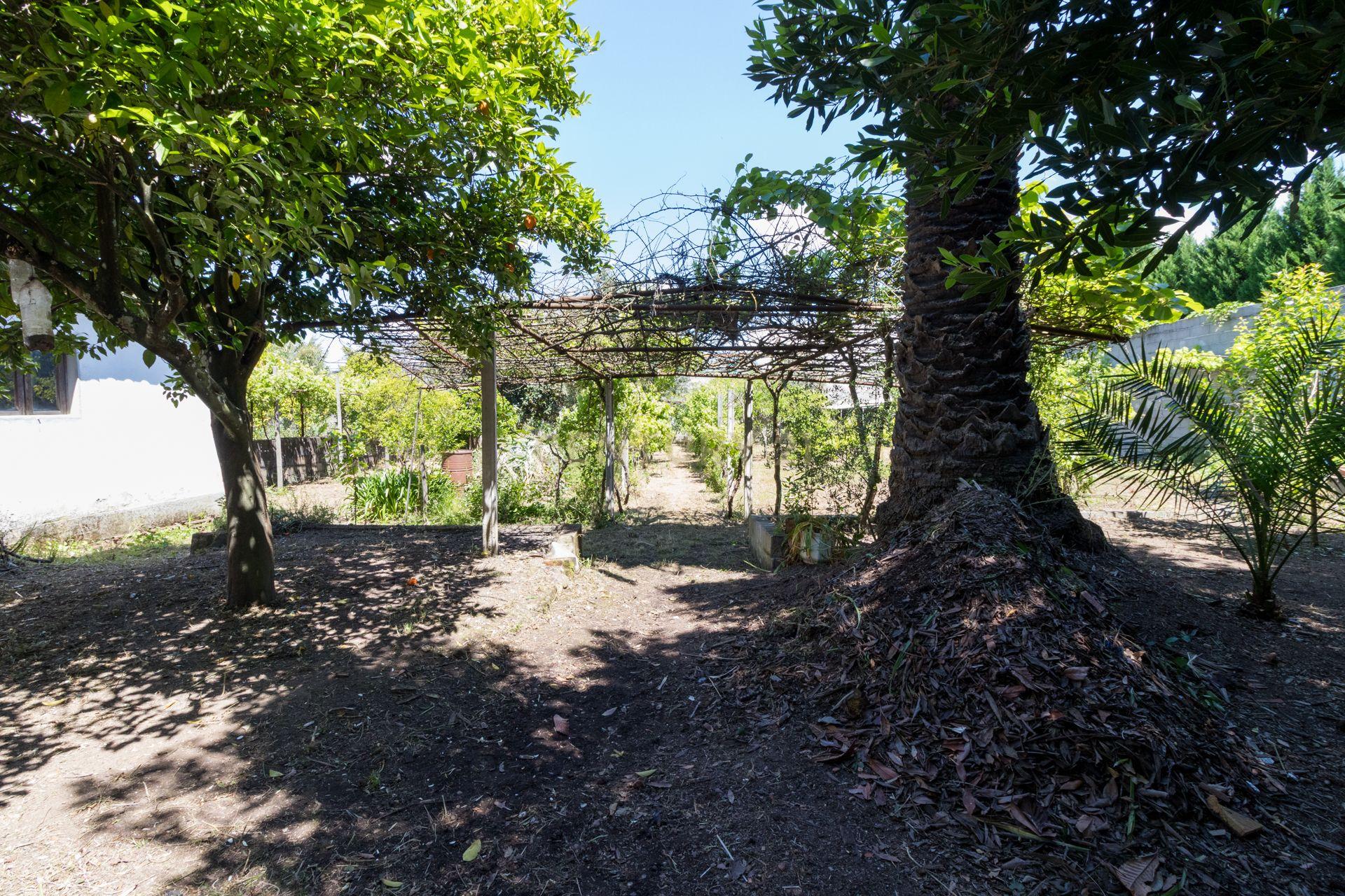 Moradia T3 com Jardim e Garagem em Santarém, Abrantes - Em Sistema de propostas Múltiplas - Image 52