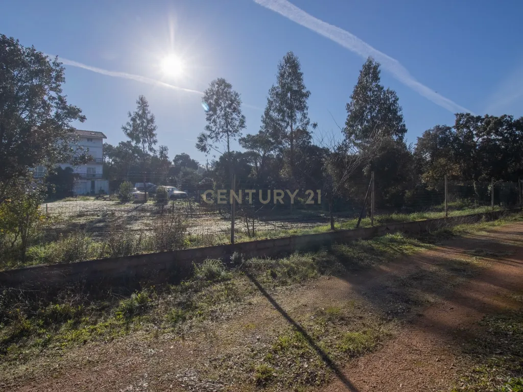 Moradia multifamiliar com rendimento imediato | 2.000 m² de terreno | A apenas 4,5 km de Fátima - Image 17