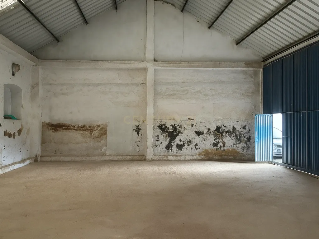 Armazéns em Alfundão - A sua porta de entrada para o Baixo Alentejo — Localizados perto da autoestrada e do aeroporto de Beja - Image 3