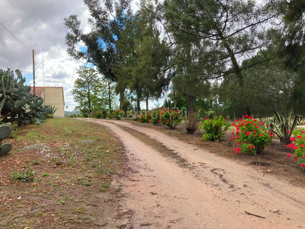Herdade da Pedra Longa — Um Património Único no Coração do Alentejo - Image 49