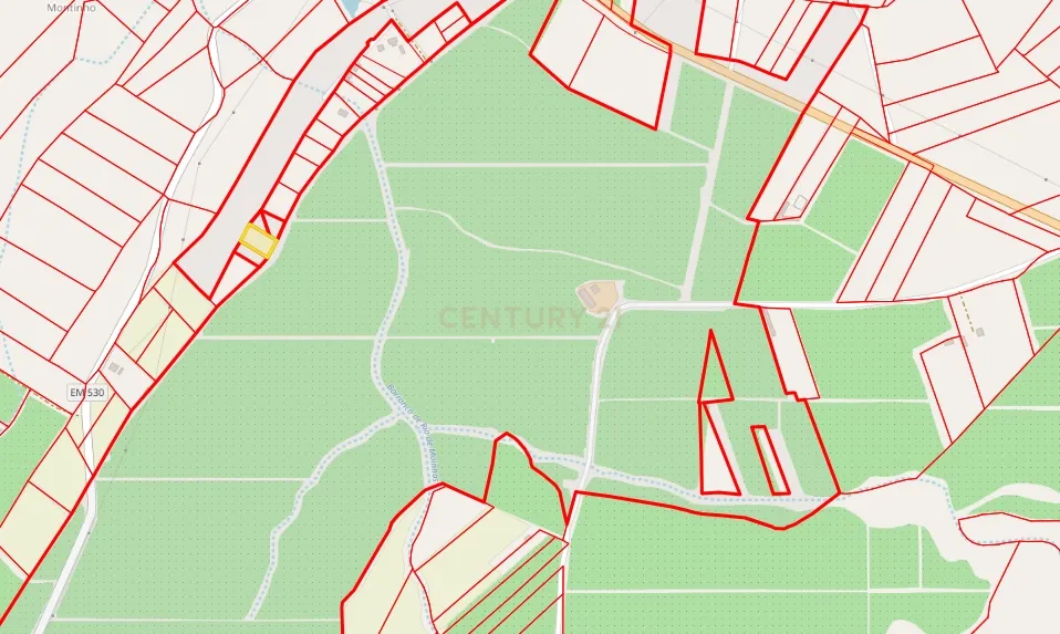 Aljustrel-Rio de Moinhos Próximo do Monte Barradas, Terreno Rústico com Oliveiras com 3250 m2. - Image 8