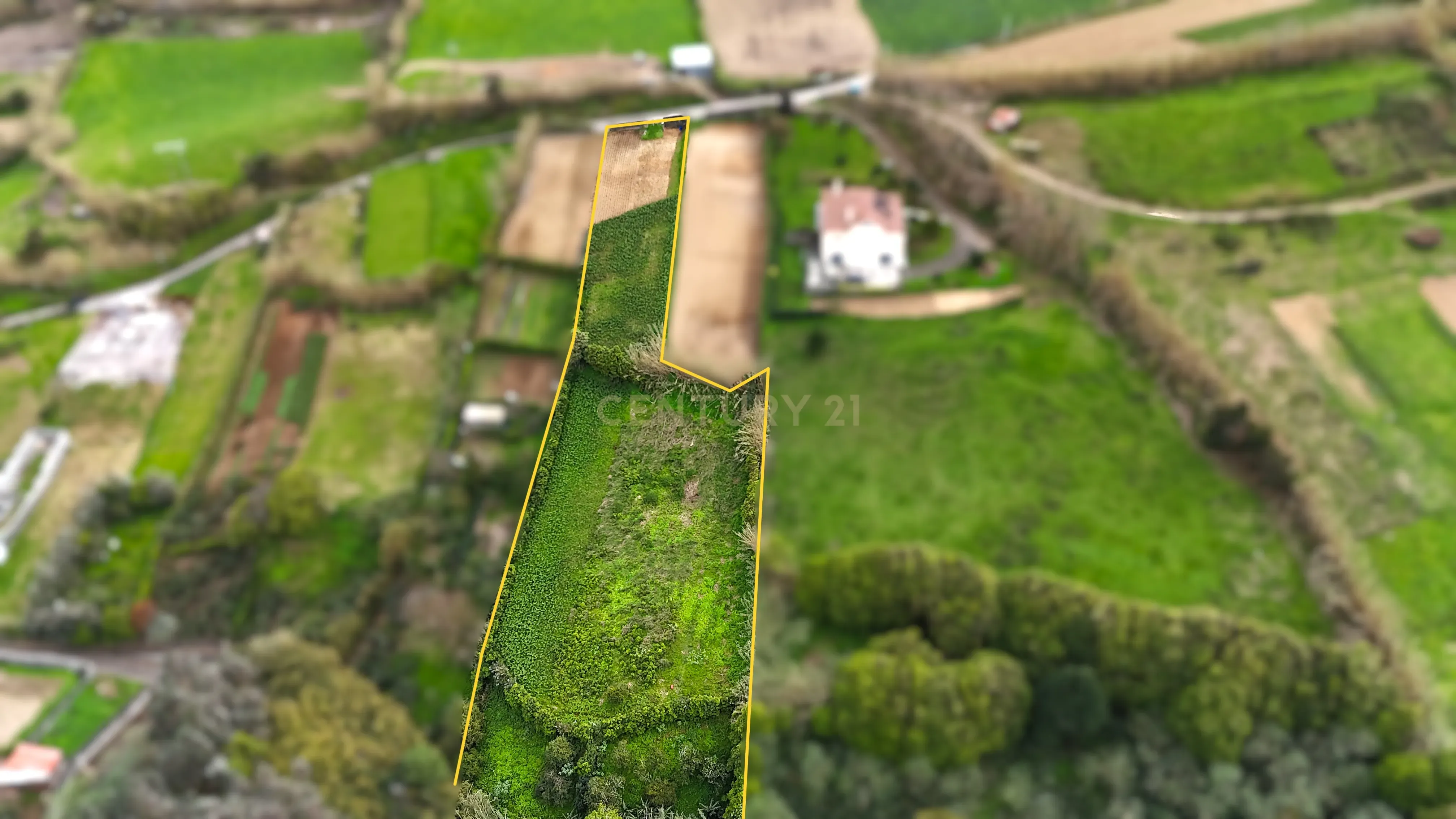 Fotografia 3 de 🌿 Terreno Rústico com Vista Mar – Porto Formoso
