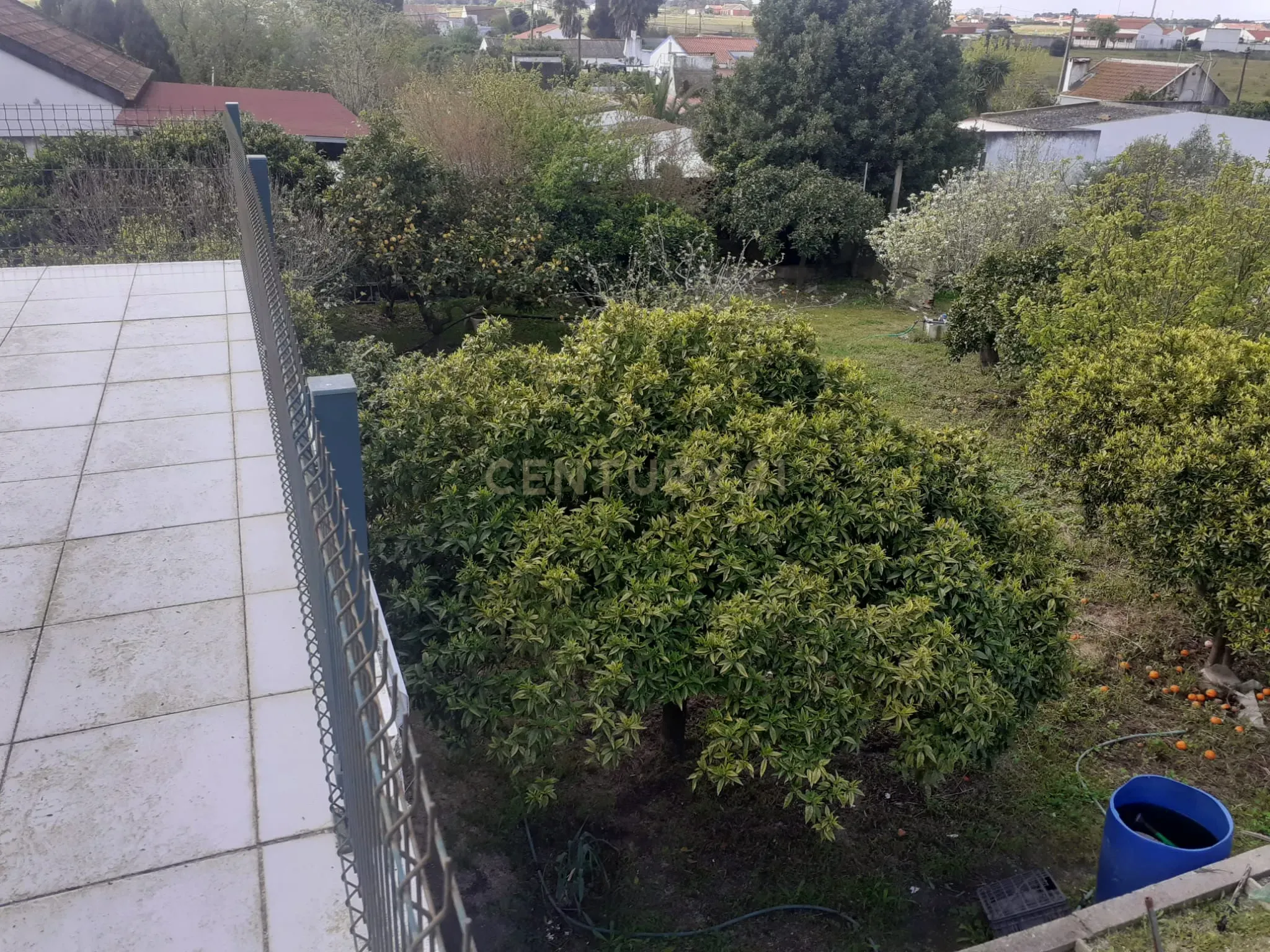 Fotografia 10 de Exclusivo | Terreno com Benfeitorias em Santo Isidro de Pegões